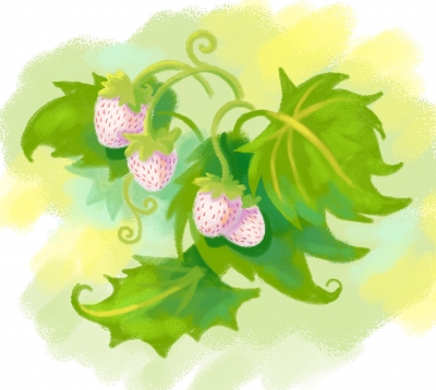 [Sketch dailies] Pineberry