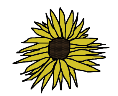 Sunflower Memory