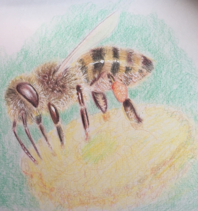 A Bee 2