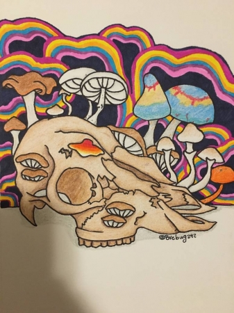 Mushroom Skull