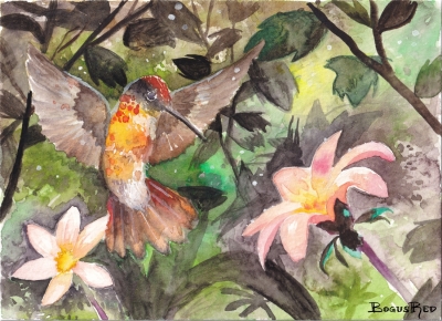 Hummingbird watercolor