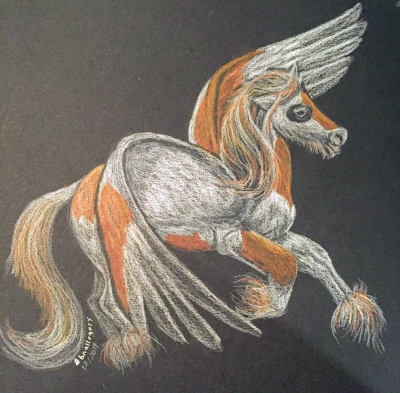 Koi Pegasus