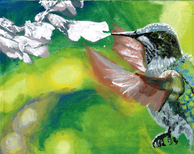 Hummingbird