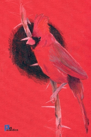 common cardinal