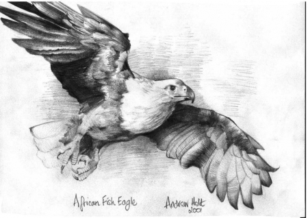 Eagle2