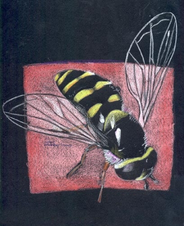 bee