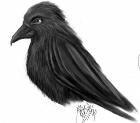 Raven