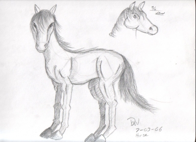 Horse Sketch 1