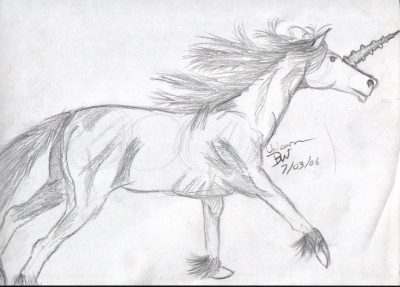 Unicorn Sketch 2