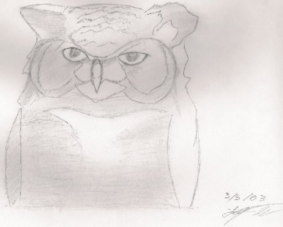 Owl