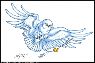 Hedwig and the Snitch