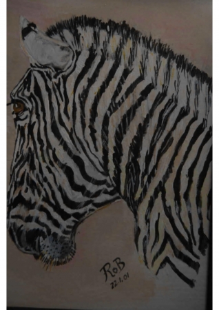 zebra