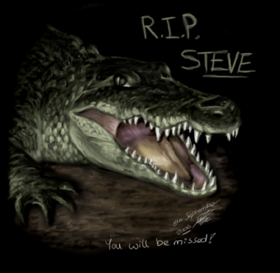 Steve Irwin Tribute