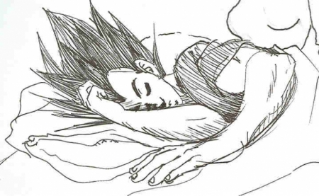 Vegeta sleeping