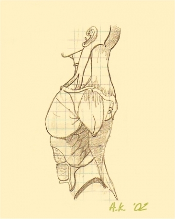 Anatomy Study