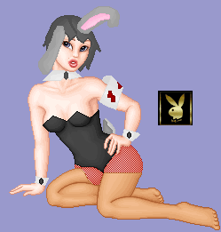 Playboy Bunny