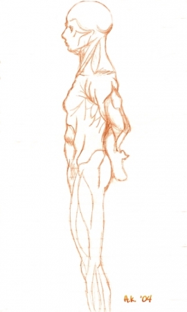 Anatomy Study #2