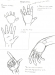 [Art] Hand Tutorial