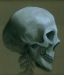 [Art] Skull Study