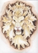 [Art] Lion