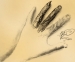 [Art] The Hand