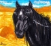 [Art] Desert Stallion