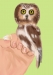 [Art] Holding Out for a Hoot