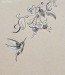 [Art] Hummingbird Inktober 2