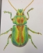 [Art] Leaf Beetle