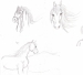 [Art] Horse sketches