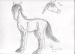 [Art] Horse Sketch 1