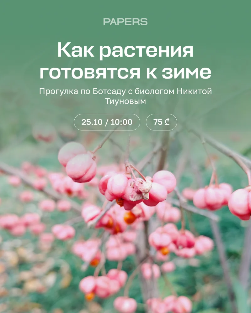Прогулка по ботаническому саду Тбилиси