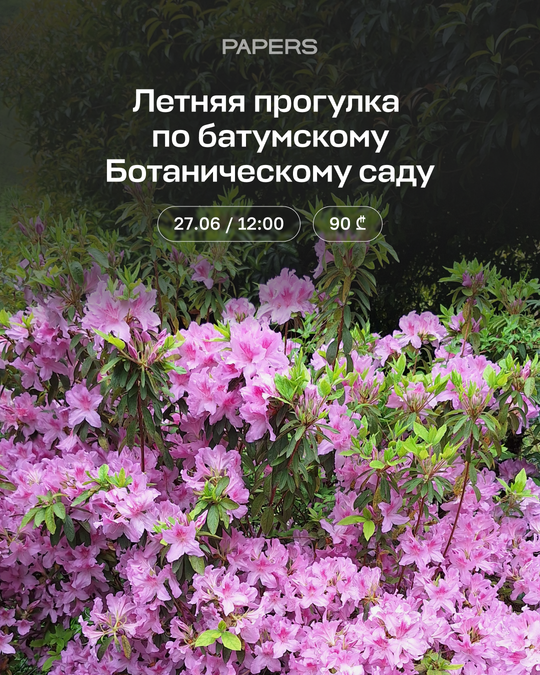 Летняя прогулка по батумскому ботсаду 