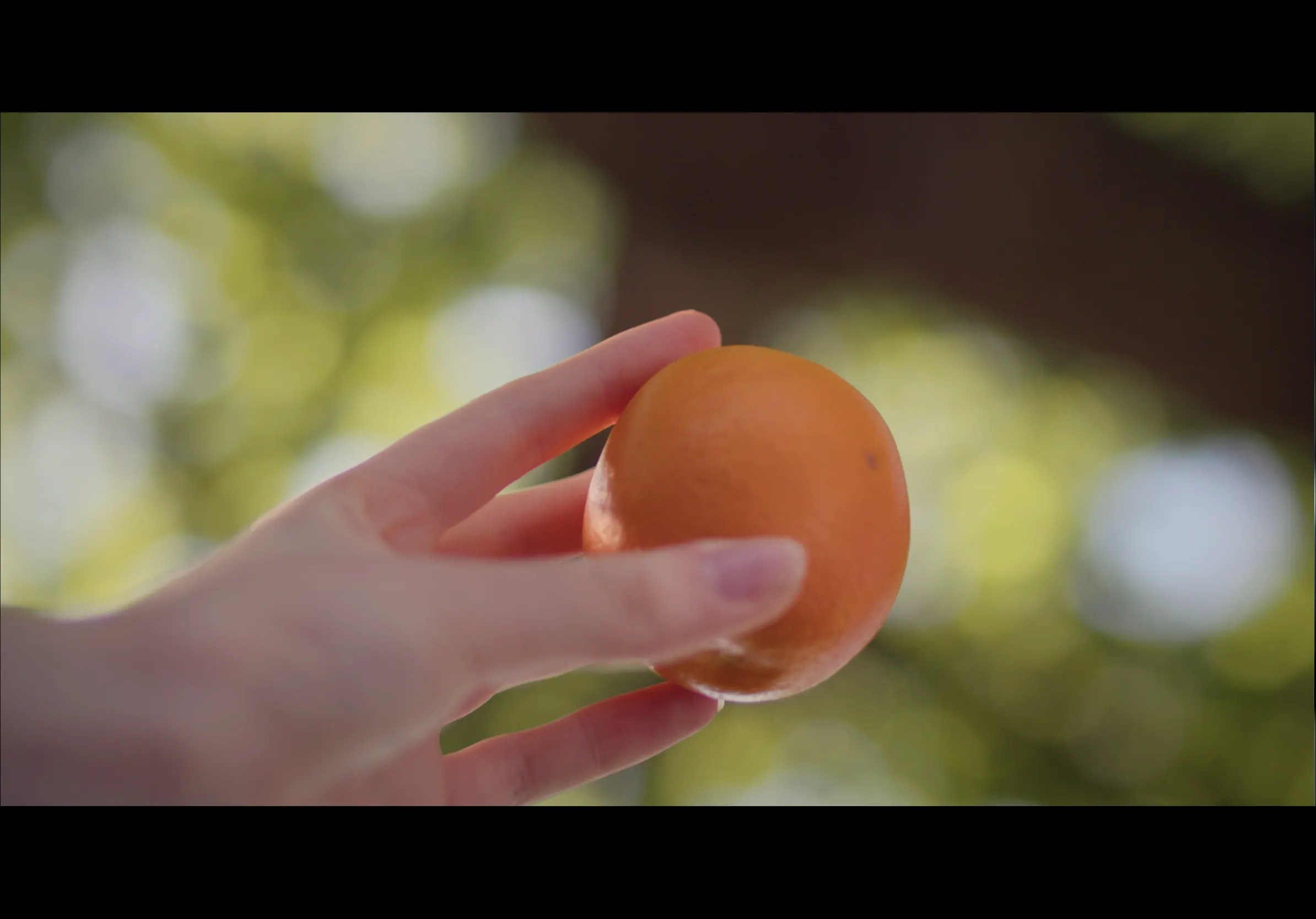 Evergreen — still 2