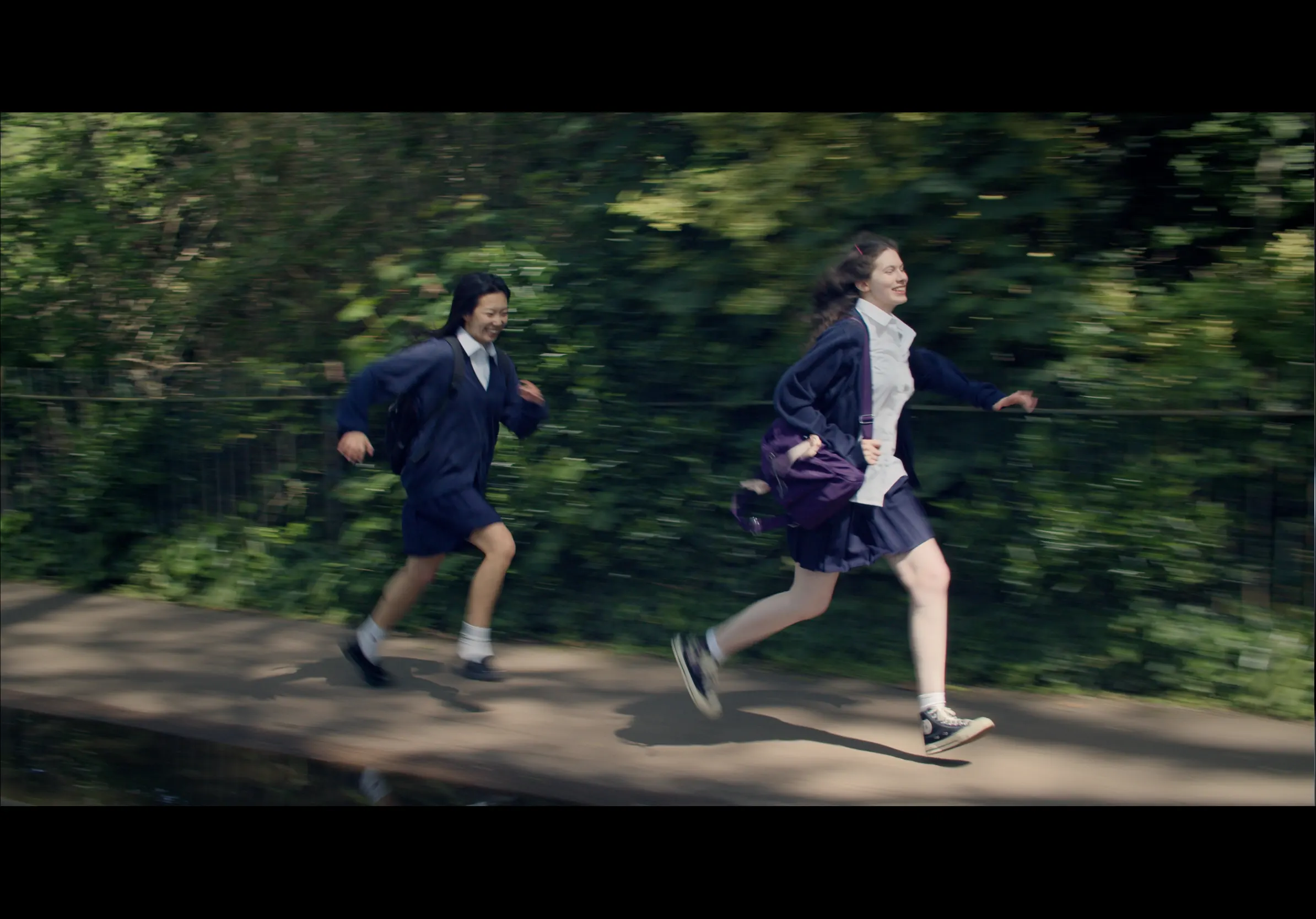 Evergreen — still 3