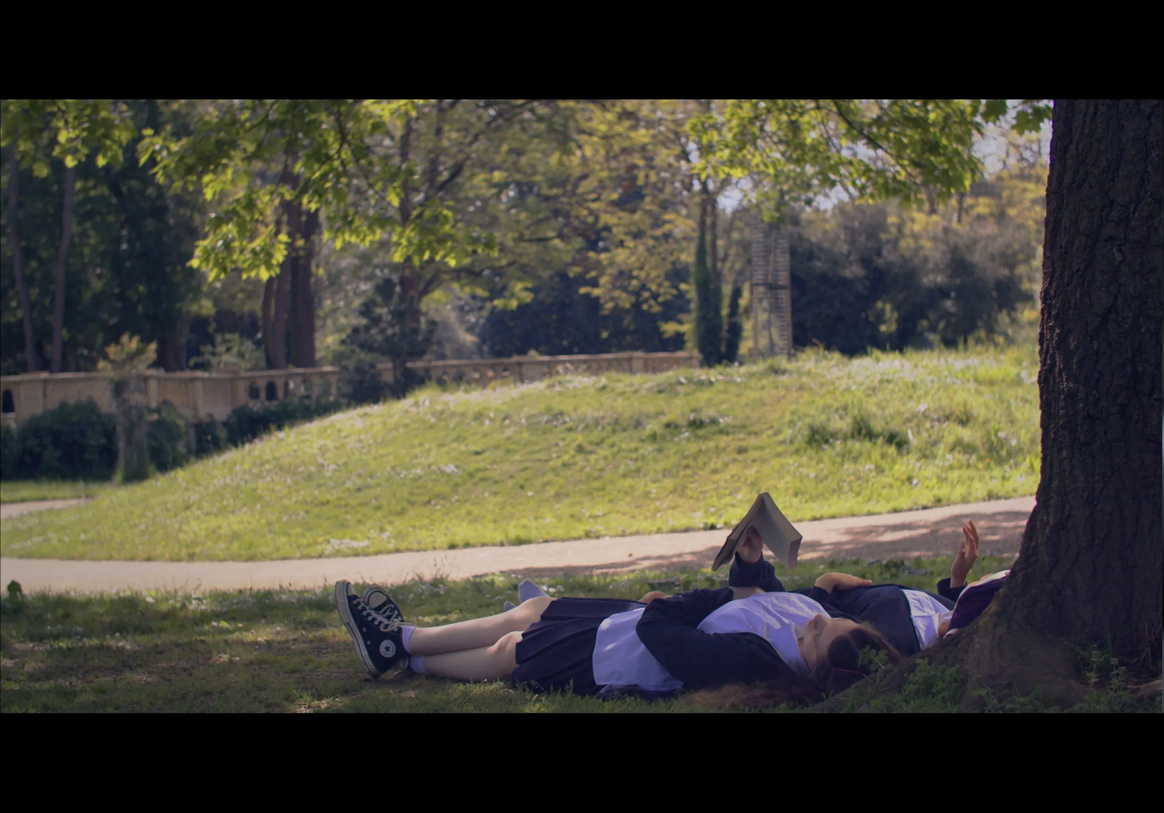 Evergreen — still 5