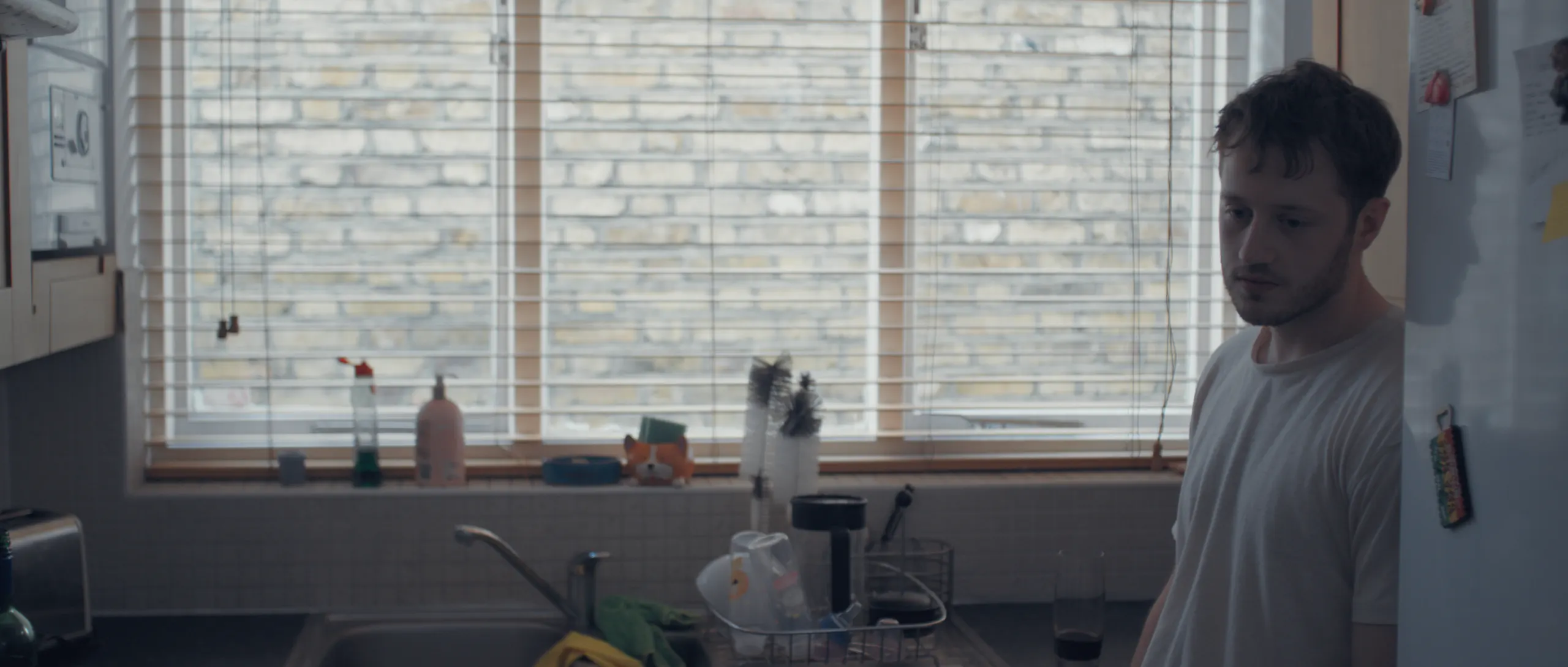 Moth — still 2