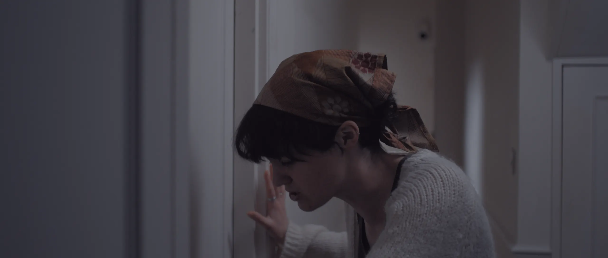 Moth — still 3