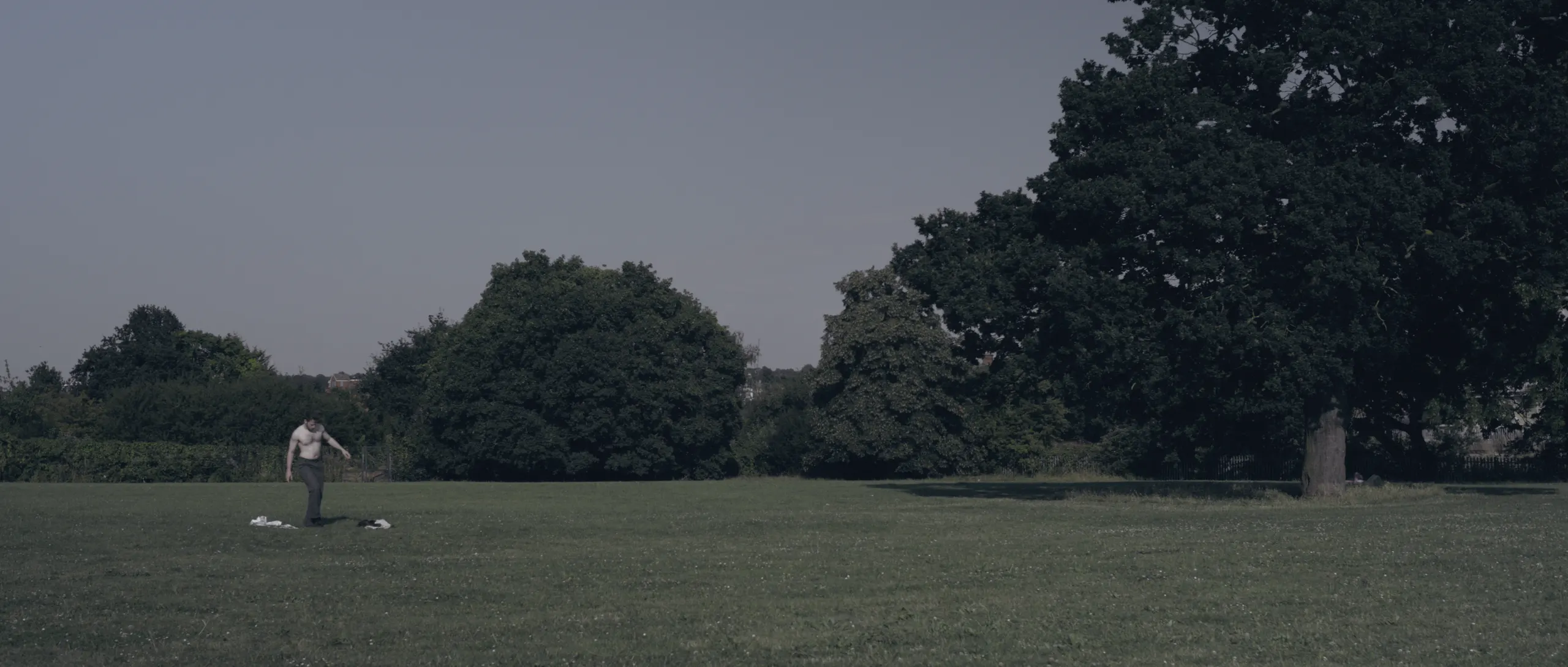 Moth — still 4