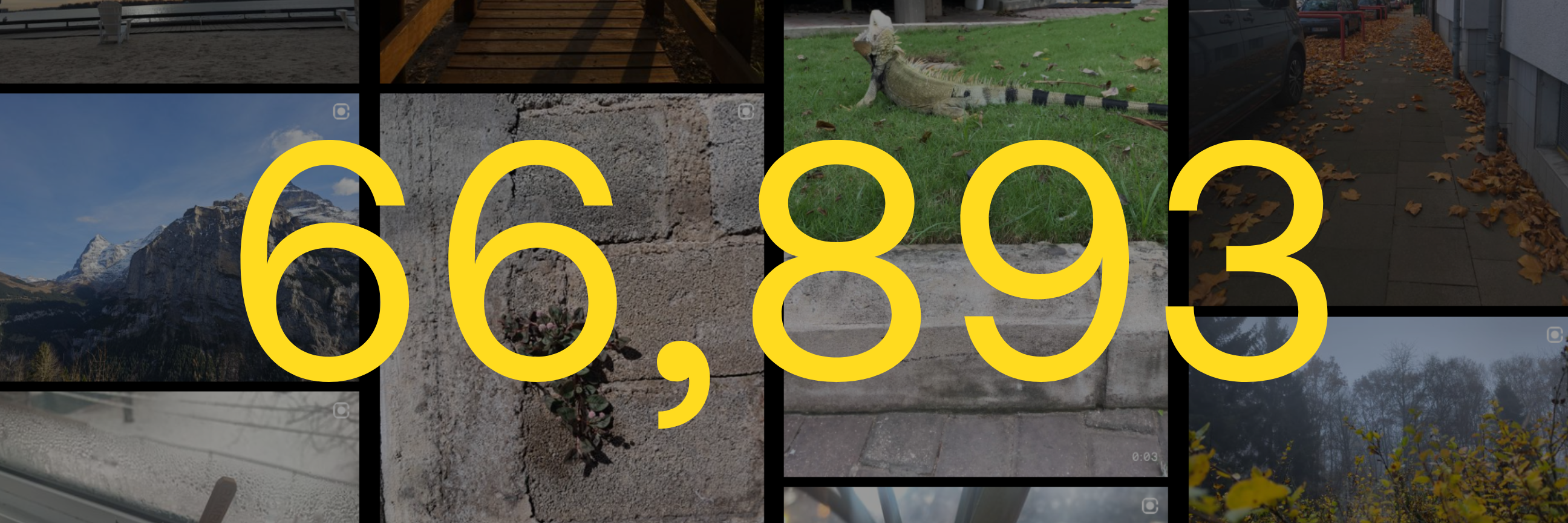 161 Clicks were added by you!