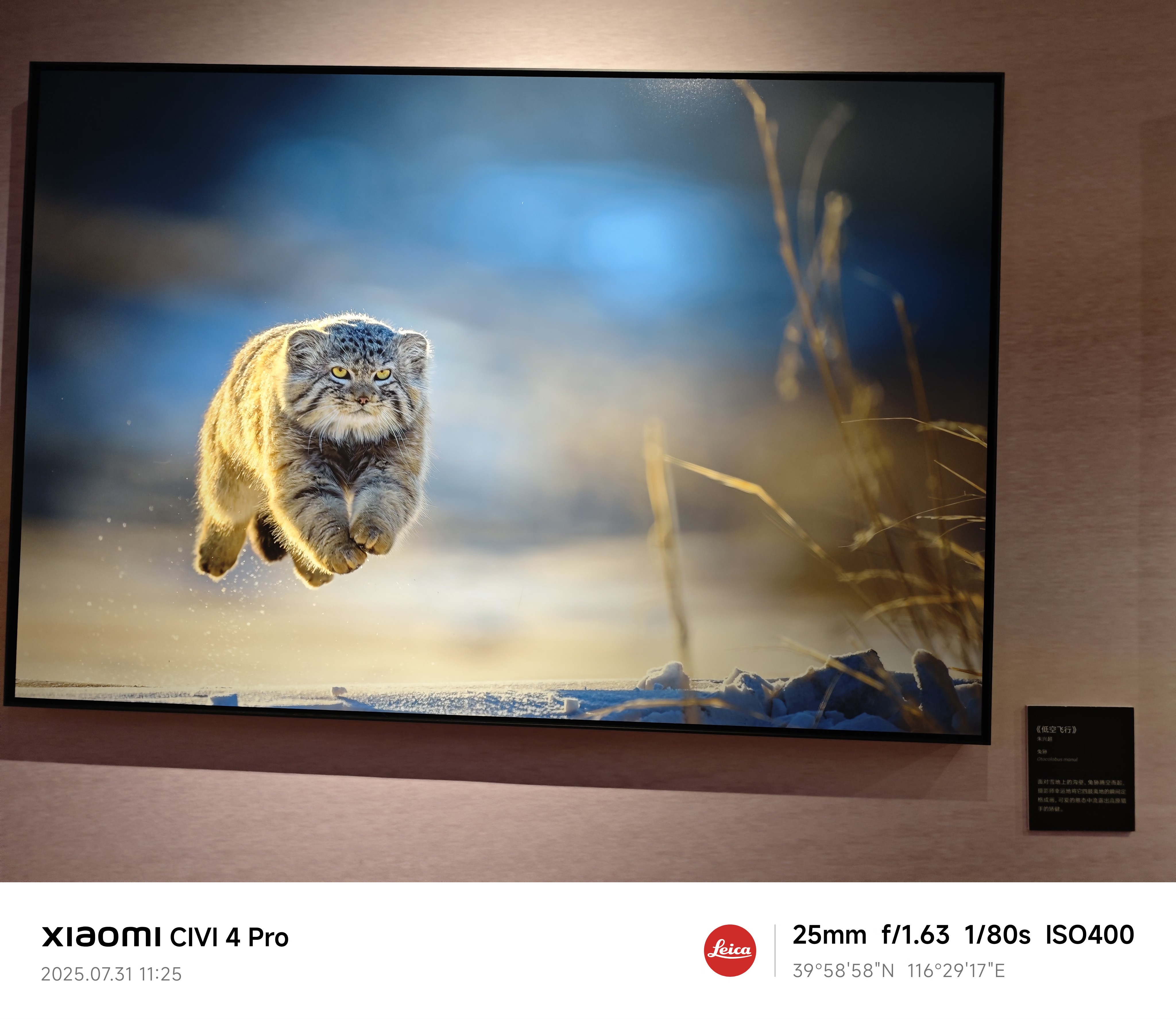 摄影展作品节选1