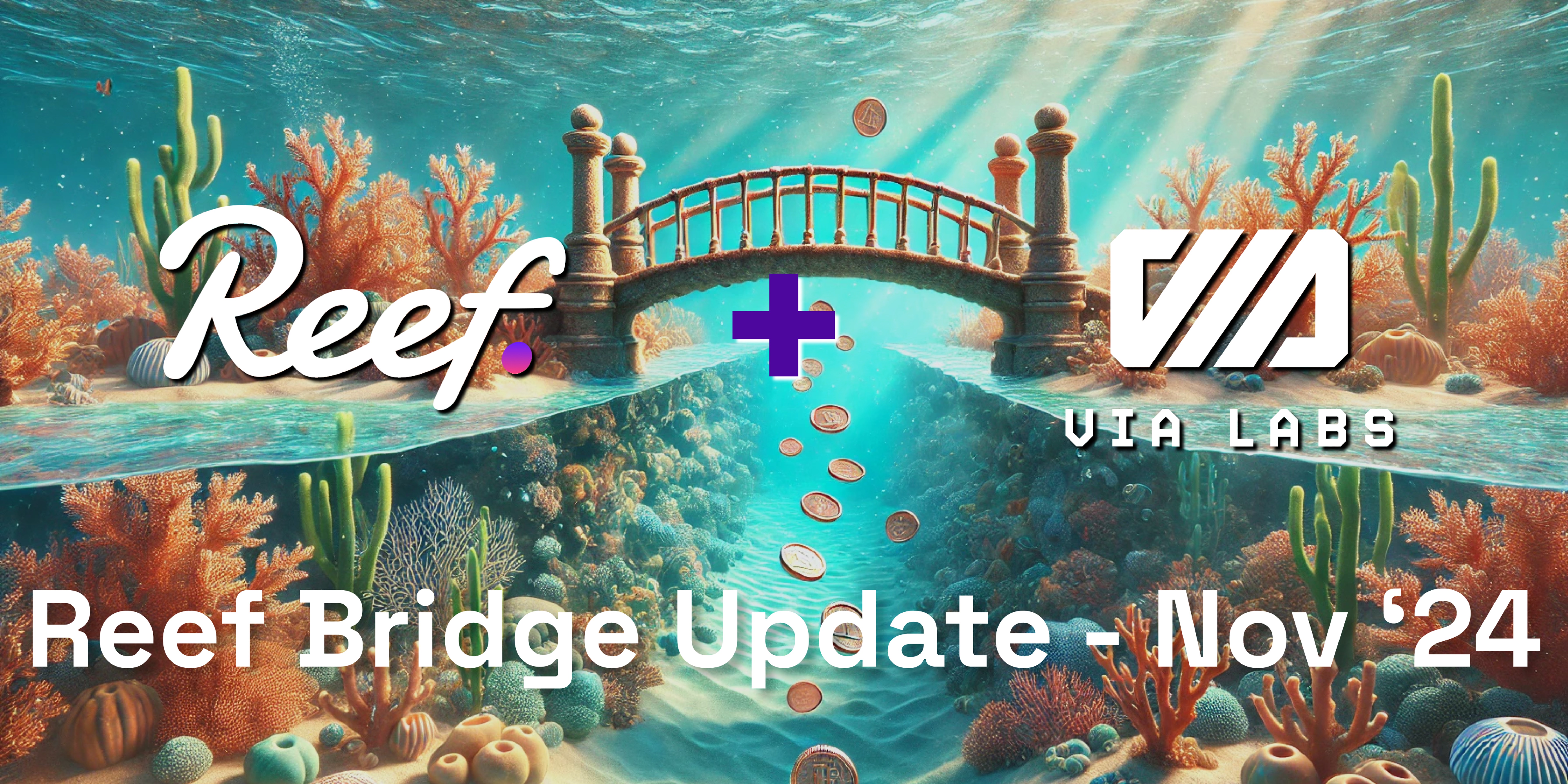 Reef Chain News | Reef Bridge Development Update - Nov 2024