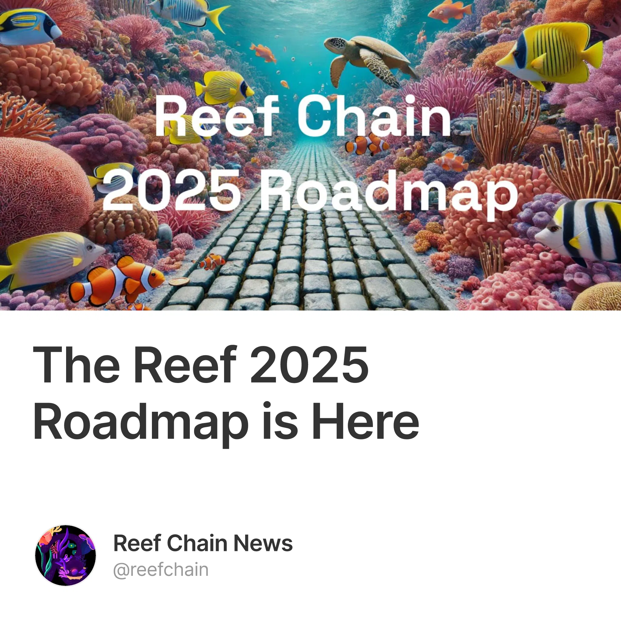 The Reef 2025 Roadmap is Here