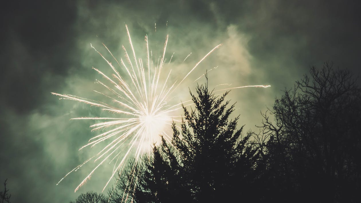 Free Fireworks Display Above Trees Stock Photo