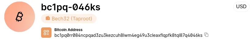 Figure 4. A screenshot showing a Taproot Bitcoin address (bc1pq0rr084ncpqad3zu3kezcuh8lwm4eg49u3cleaxflqpfk8tql87q4046ks) using the Bech32 format. Source: Blockchain.com.