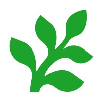 Fern