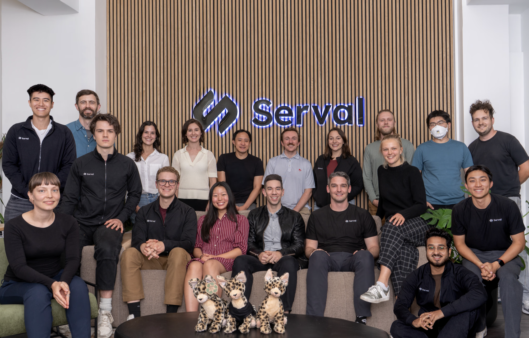 Serval company image - 1