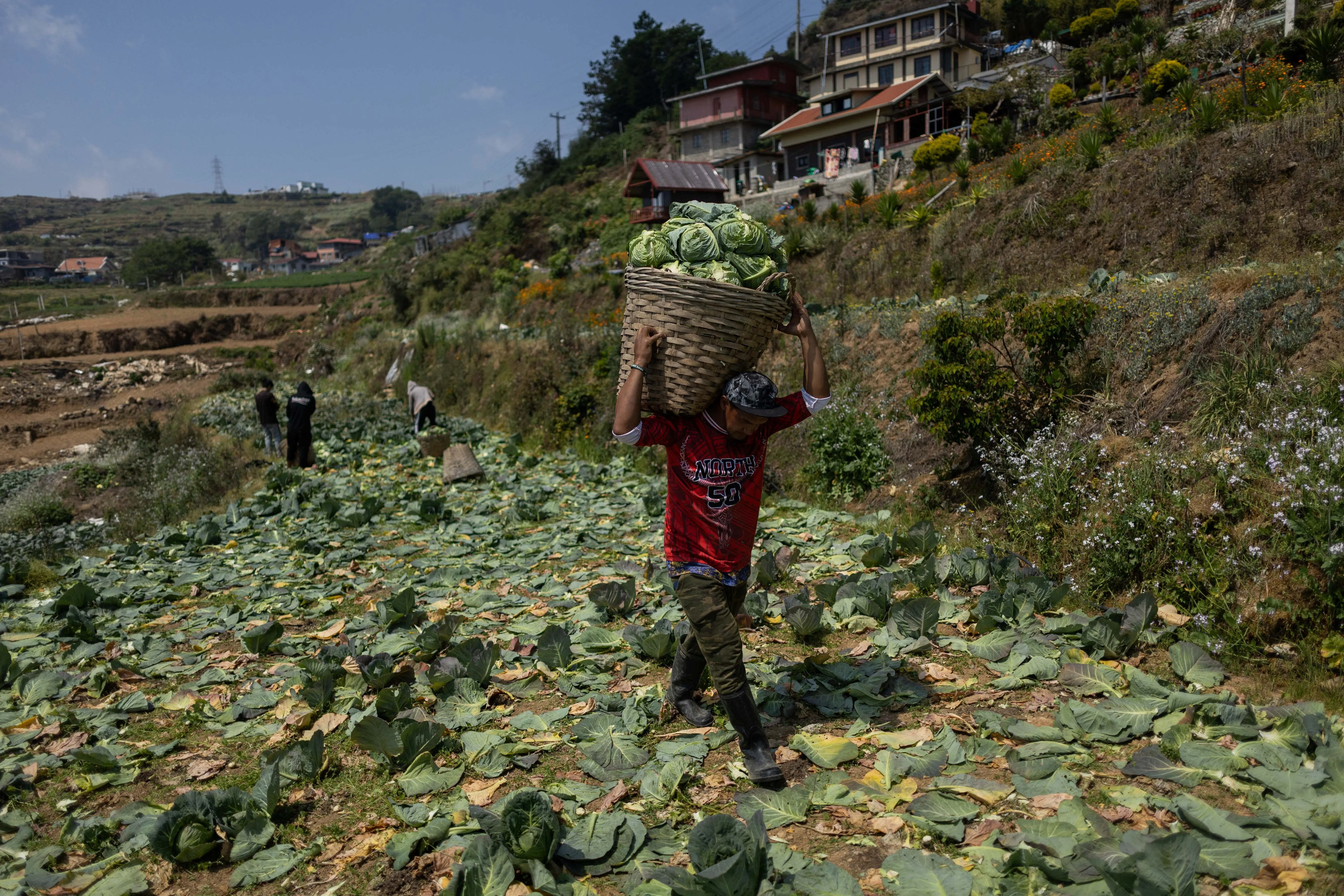 Southeast Asia Enhances El Nino Preparedness Amidst Growing Climate Concerns