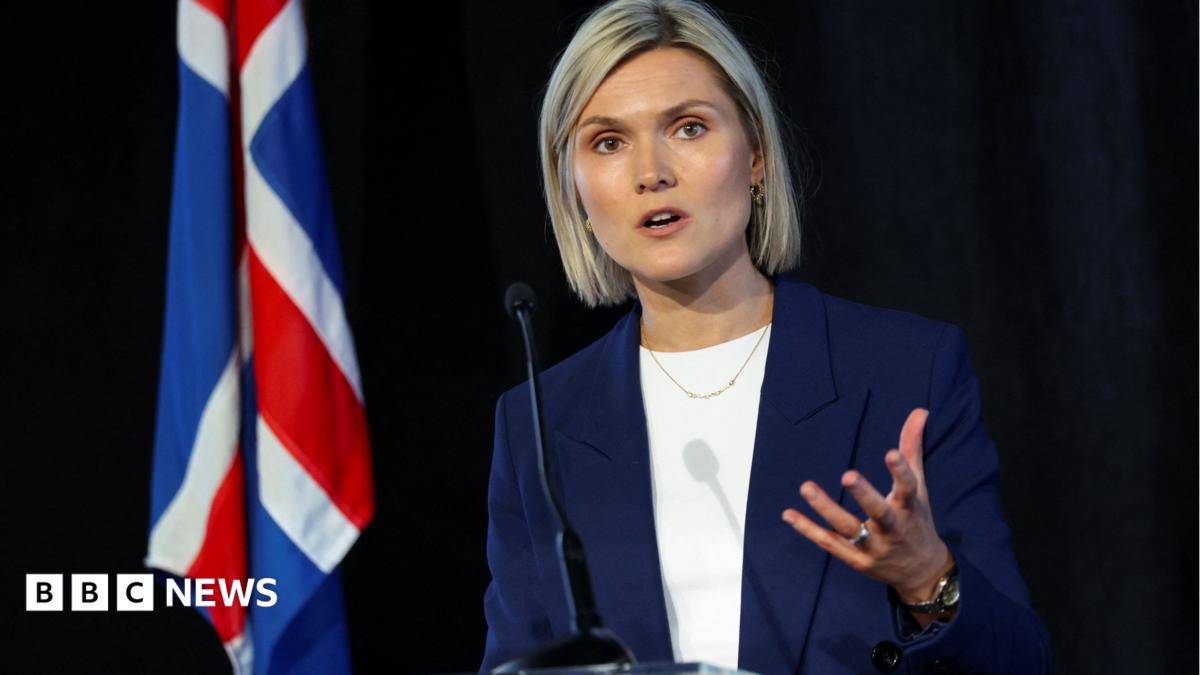 Iceland Rejects Resuming EU Membership Talks in Referendum