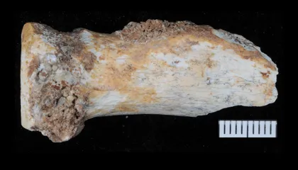 A cave in southwestern China where Denisovan fossils and tools were discovered.